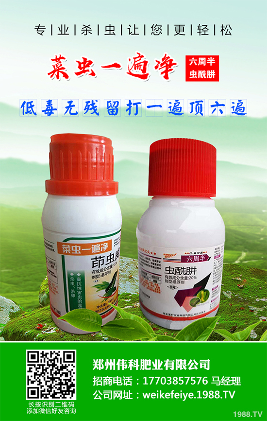 �ʽ�������