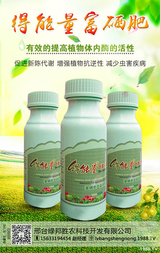 ���_(t��i)�G���ٶȔy��1988.TV���_�ؾW(w��ng)�j(lu��)�����¾�����