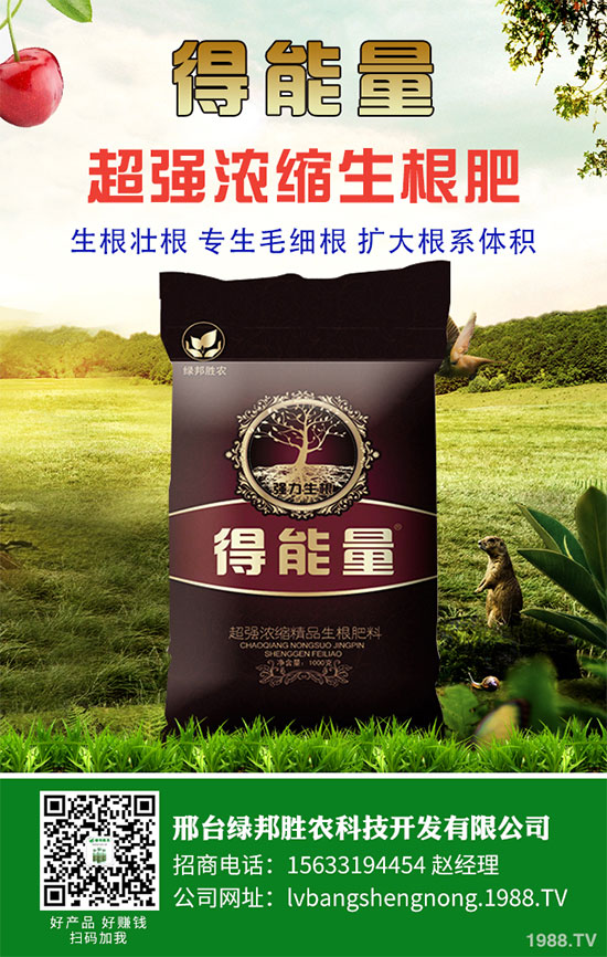 ���_(t��i)�G���ٶȔy��1988.TV���_�ؾW(w��ng)�j(lu��)�����¾�����