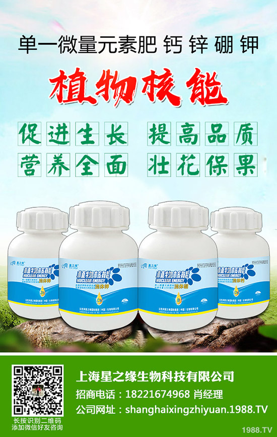 ѿ�����ӷNֲ��ѿ�˷Nֲ���g(sh��)���˽������