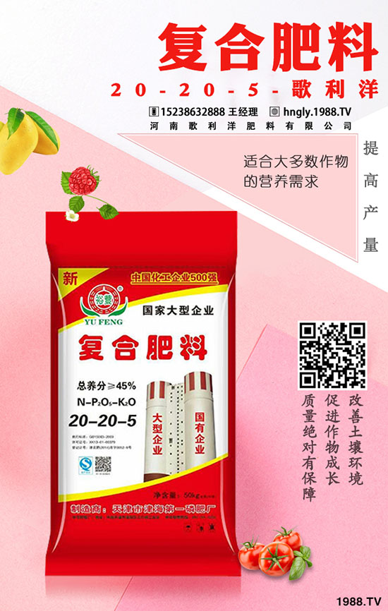     ������ټق����ġ����������ʷʁ��q�桱