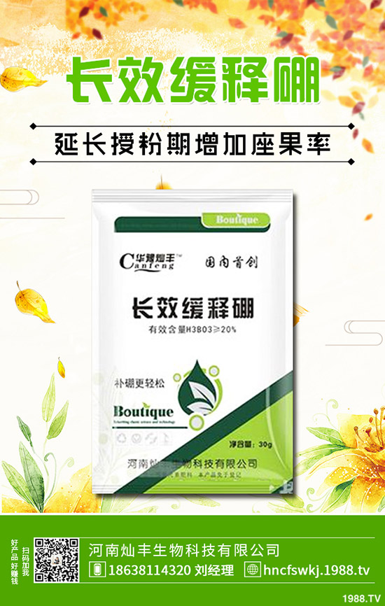 ���L�Nֲ���g(sh��)����Щ�����L�����g����