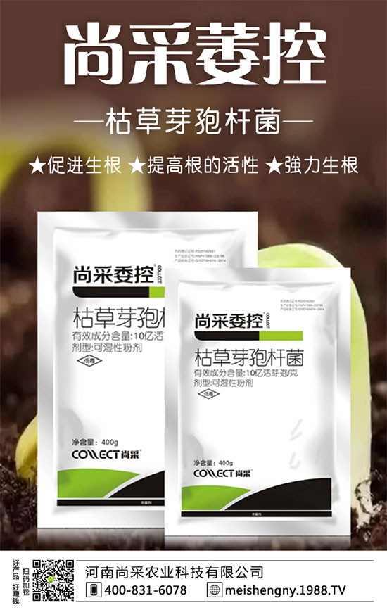 �����ݮ���ɼ����������������ݮʩ��Ҫ�c(di��n)��