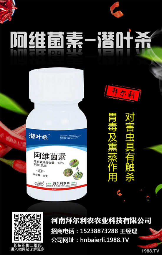 �ɘ䚢�x���r��