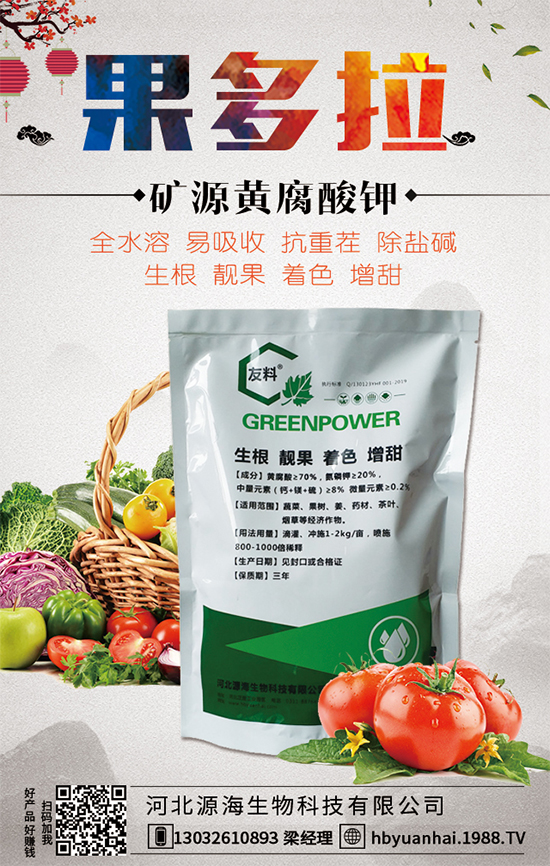 ������Ճr(ji��)������Xһ�2020�����Nֲǰ�������