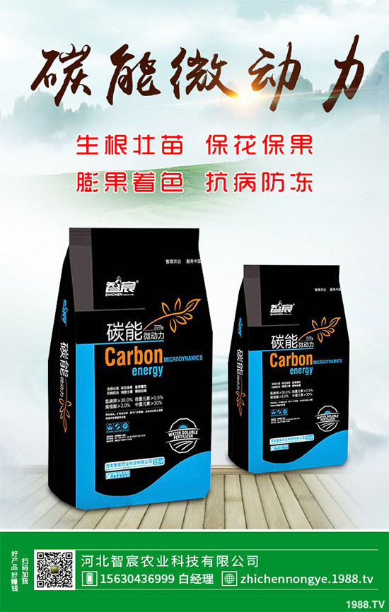 ħ��ԓ��ô�N��ħ��߮a(ch��n)�Nֲ��������