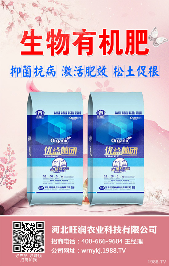 ����²�ԓ��ô�N����������²˷Nֲ���g(sh��)Ҫ�c(di��n)