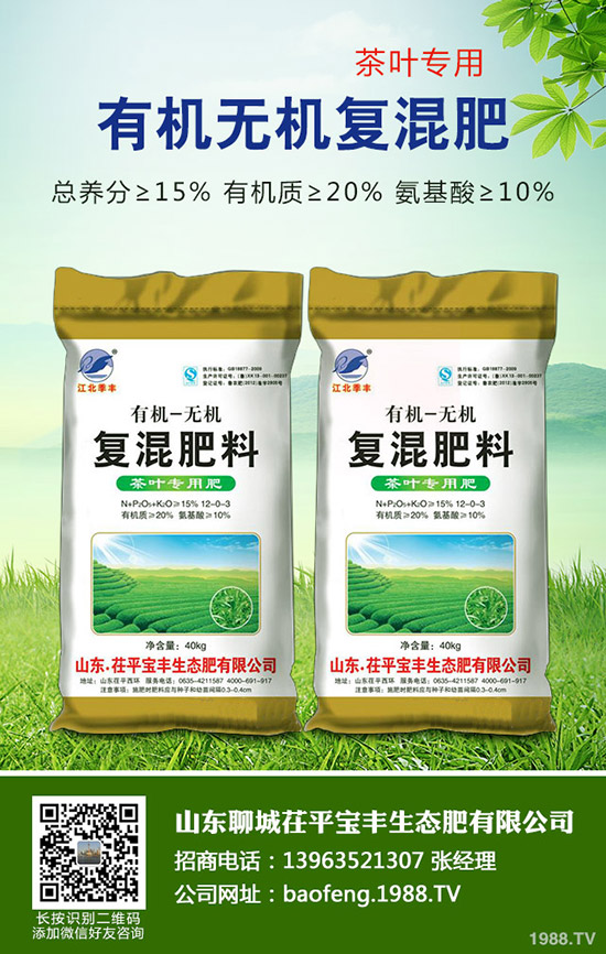 紅薯全面上市!市場飽和滯銷!紅薯價格多少一斤?2020年還有種植前景么?
