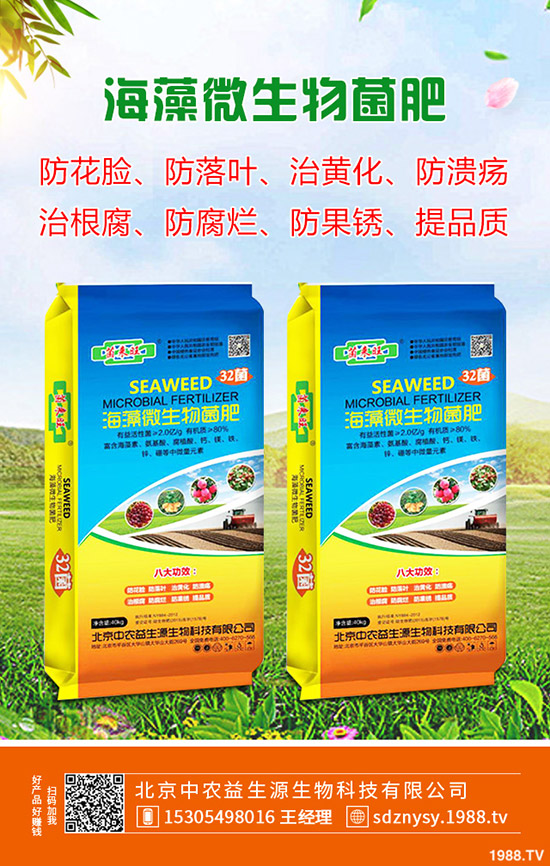     2020�괺��(ji��)�r���r(ji��)���A(y��)Ӌ(j��)�����q���������Xһ���������q�r(ji��)ԭ�������