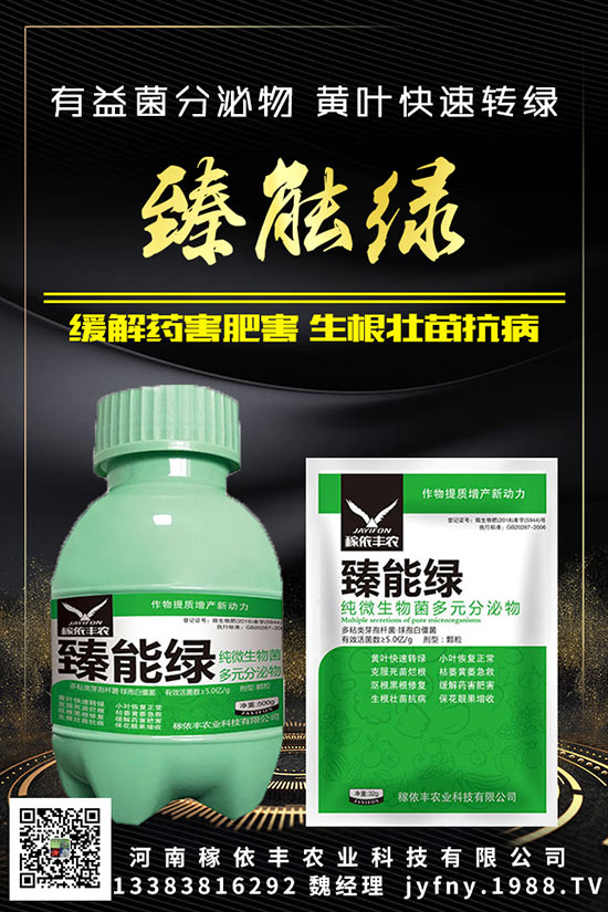 ��N�S�ʺܳ�Ҋ(ji��n)��Ԫ�غ�������������Ҫ֪���c(di��n)�M(j��n)��(l��i)������