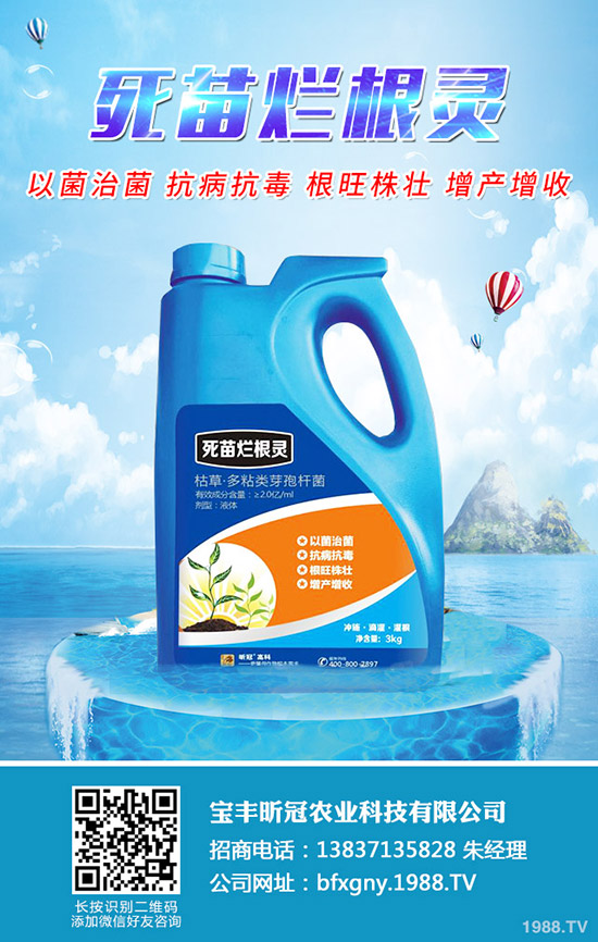 ��÷ʩ�ʕr�g��ʲô�r������÷ʩ�ʷ�������Щ��