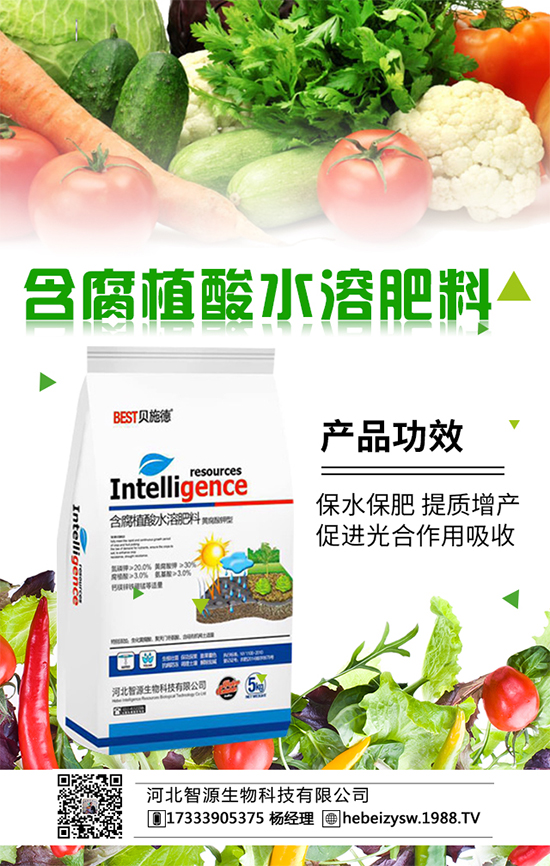 金桔價(jià)格多少錢一斤?金桔種植成本利潤分析。ǜ椒N植環(huán)境要求)