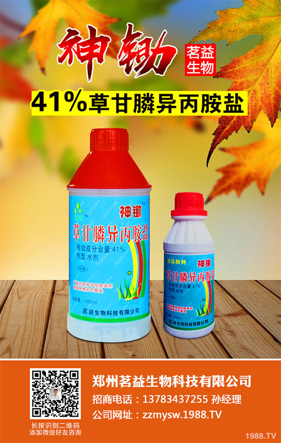 ��(gu��)��(n��i)��Ч�w���݄�L-���@좺ϳɼ��g(sh��)ȡ�óɹ�