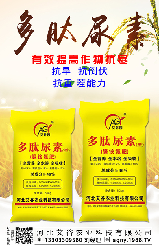 �~���������֮�����