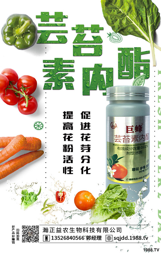 2019-12-18����⛷ʃr���Ј����鼰�����߄ݷ���