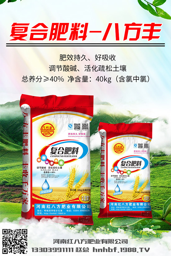 吃蘑菇有什么好處?蘑菇的營養(yǎng)價值及功效作用