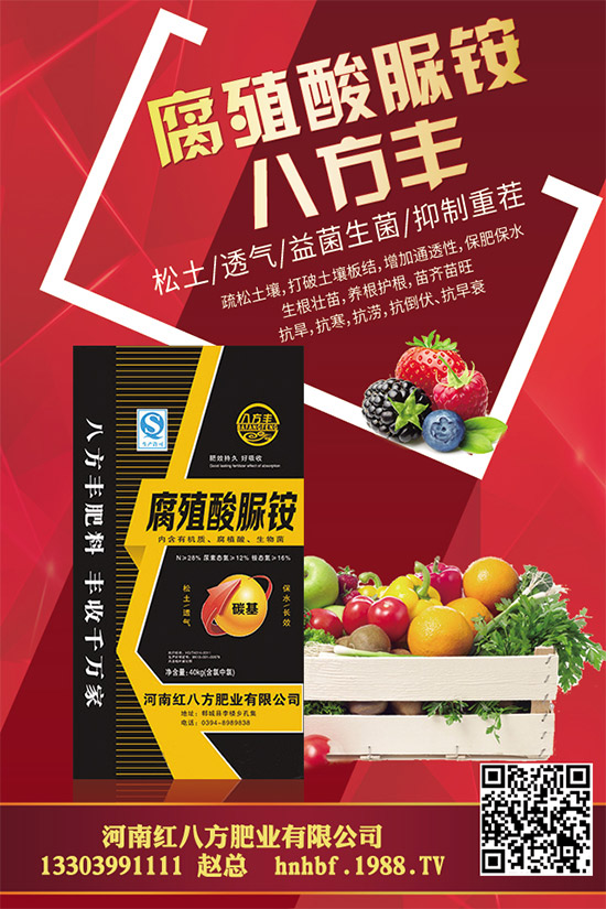 大棚蘑菇該如何種植?大棚蘑菇的種植管理技術(shù)