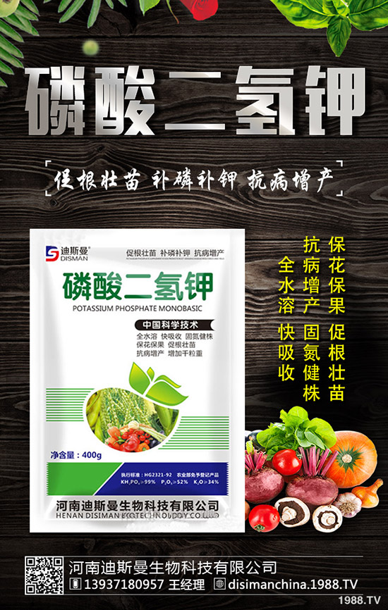 ������ô�Nֲ�������Nֲ�������ճ�����������