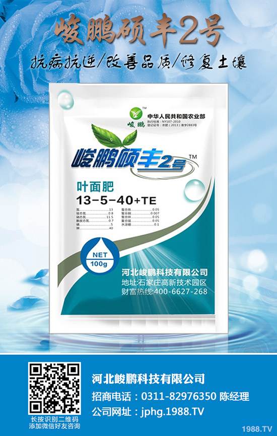 ����Ҫ�q�����ڇ�(gu��)��(n��i)�Ј�(ch��ng)���؃r(ji��)�������߄�(sh��)����2019-12-20