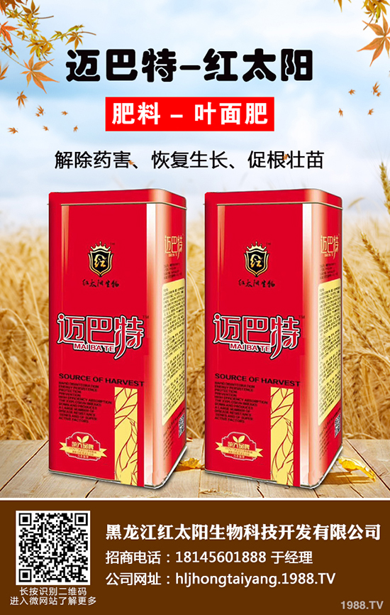 ⛷ʃr(ji��)���ǝq�ǵ���2019-12-21����(n��i)����⛷ʃr(ji��)���߄ݷ���