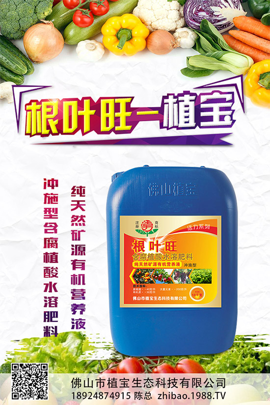     �������S��Ʒ�N�����и����L(f��ng)ζ�����ۼ���˕�(hu��)�l(f��)�F(xi��n)���������u�ļt�����ֱ���ͨ����Ҫ�F���S�ࡣͬ�������������������Ҳ������t�����֑{ʲô�Ȱ��������F��