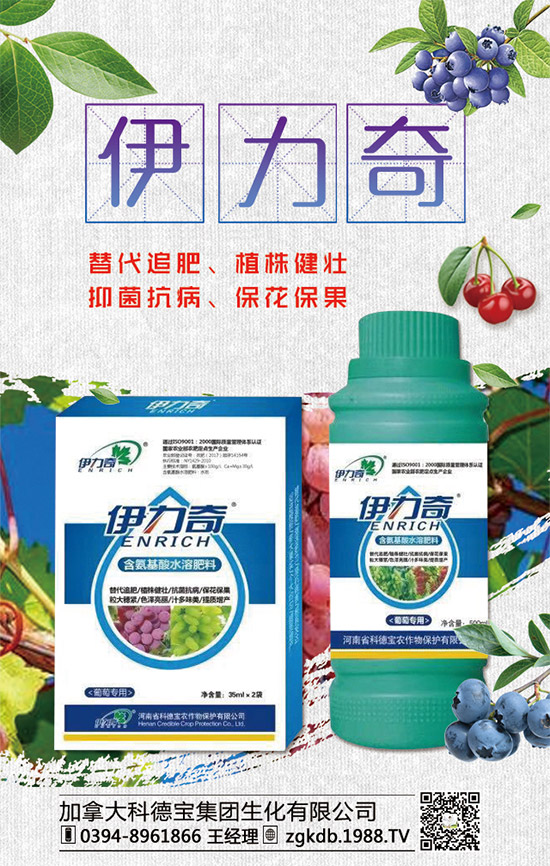 臨近年關(guān)!二銨行情是否上!2020年二銨價格行情走勢預(yù)測!