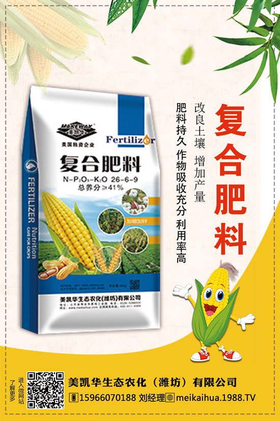     2019�������һ�@��������r��C�Ϸ��������