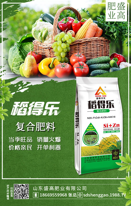     �ֲ��؅^(q��)���������»���12��25�Շ���(n��i)���؃r���߄ݼ��������u��