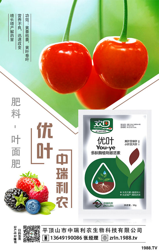 ���^��Ʒ�N�x�������^�Nֲ��Ҫ��Щע�������