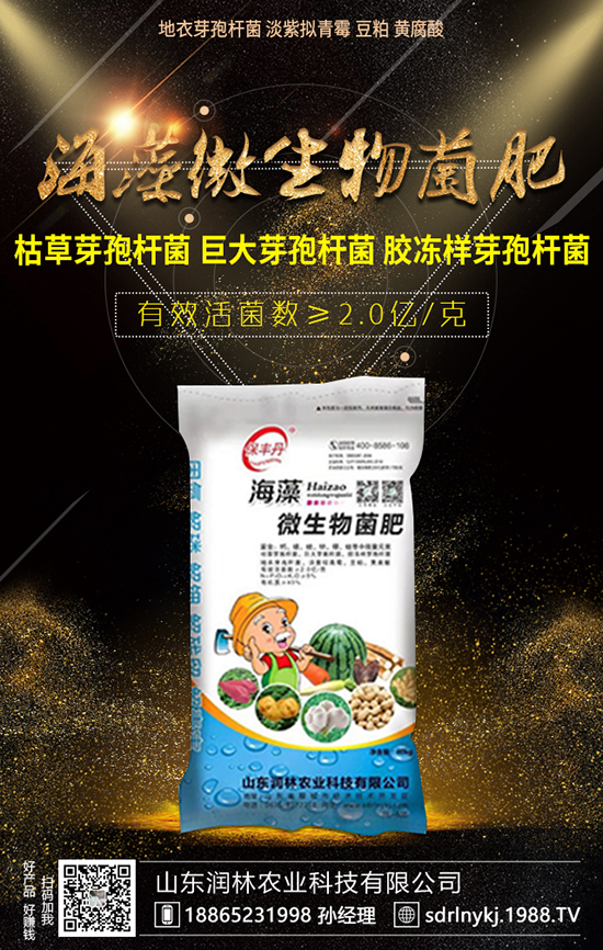 ������ײ˱��^�������������ʩ�ʹ�������