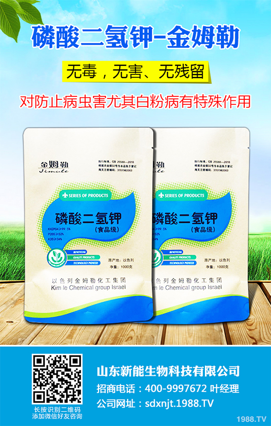 ħ��r������Xһ����2020��ħ��Nֲ���Ј�����