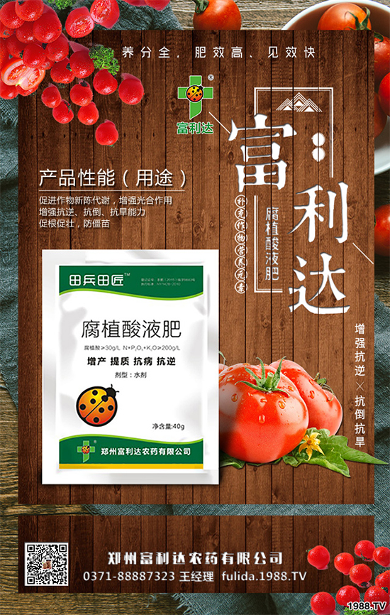 �Nֲʲôˎ����ٍ�X��2020����ˎ�ķNֲǰ������