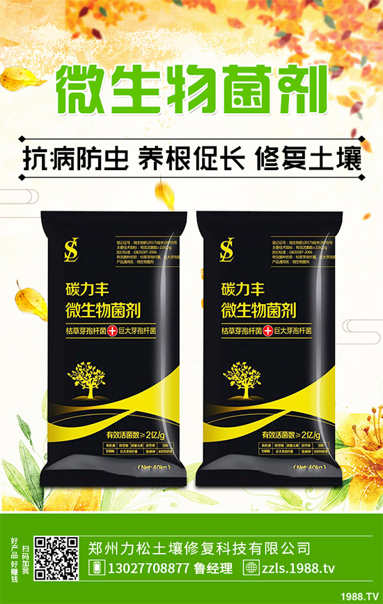 �Nֲʲôˎ����ٍ�X��2020����ˎ�ķNֲǰ������