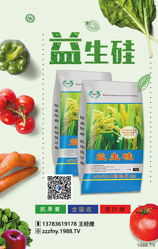 ��������O�����Ϸʼ��g(sh��)���@���c(di��n)��W(xu��)�������a(ch��n)���գ�