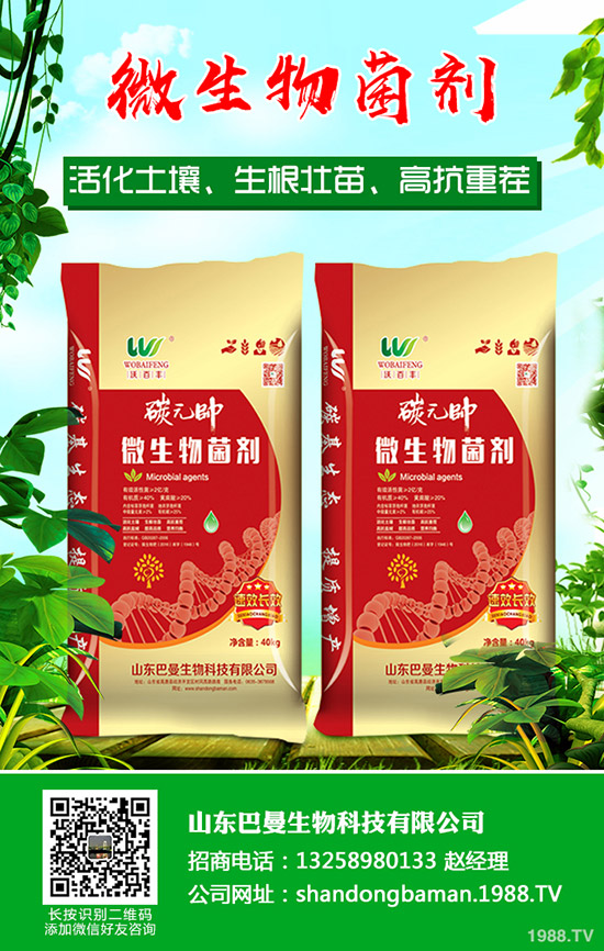 2019-12-29國產(chǎn)鉀肥行情小幅調(diào)漲!最新鉀肥價(jià)格信息周報(bào)