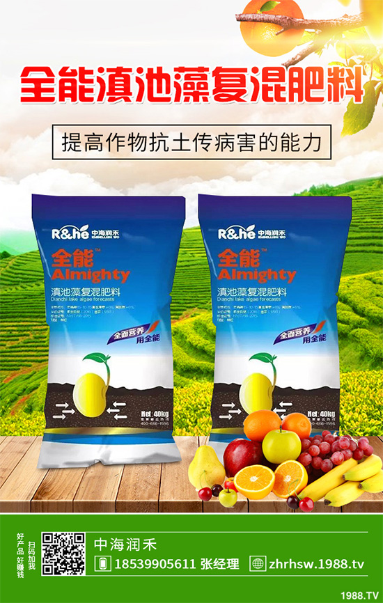 ���r����͸���������Щ�^(q��)�e���ǂ�Ч��������