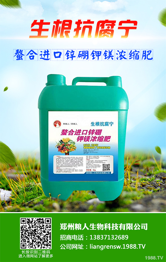 ���r����͸���������Щ�^(q��)�e���ǂ�Ч��������