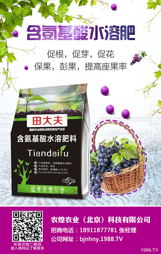 ��ѩ�^���߲˴�����֪��ԓ��ô�������