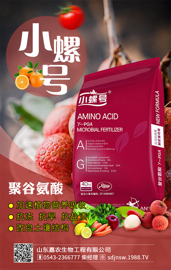 金針菇什么時間栽培?金針菇生長條件!