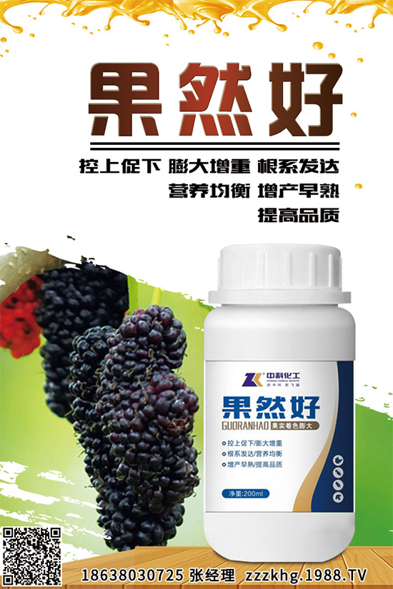 金線蓮有哪些營養(yǎng)價(jià)值?金線蓮的功效作用及食用方法