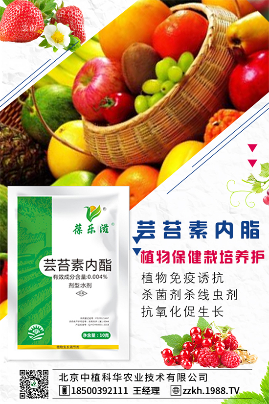 �ʽ�ʲô�r(sh��)�g�Nֲ���ʽ��ĸ߮a(ch��n)�Nֲ������