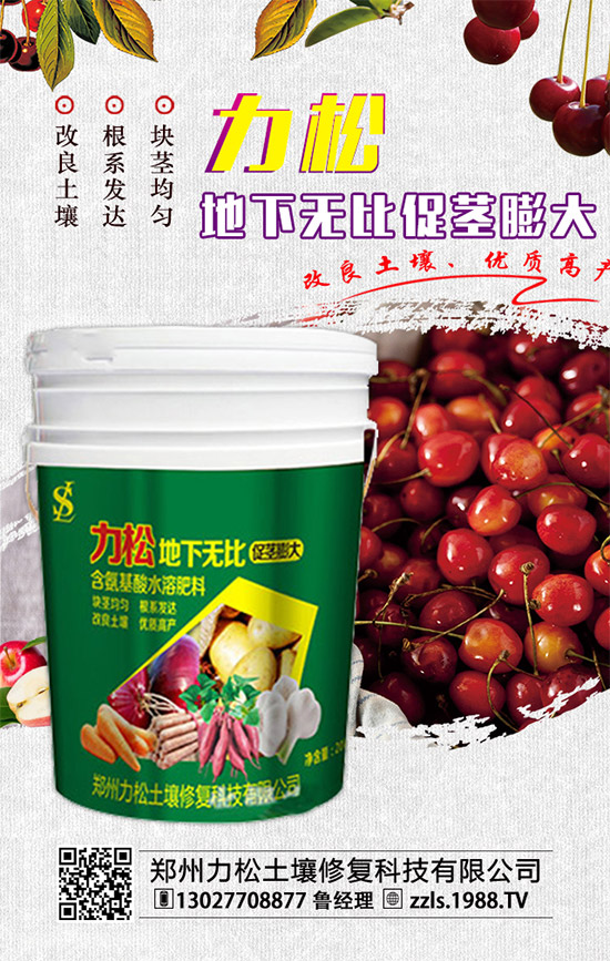     2019-12-4���@�������M�������㣡���@�r��������������