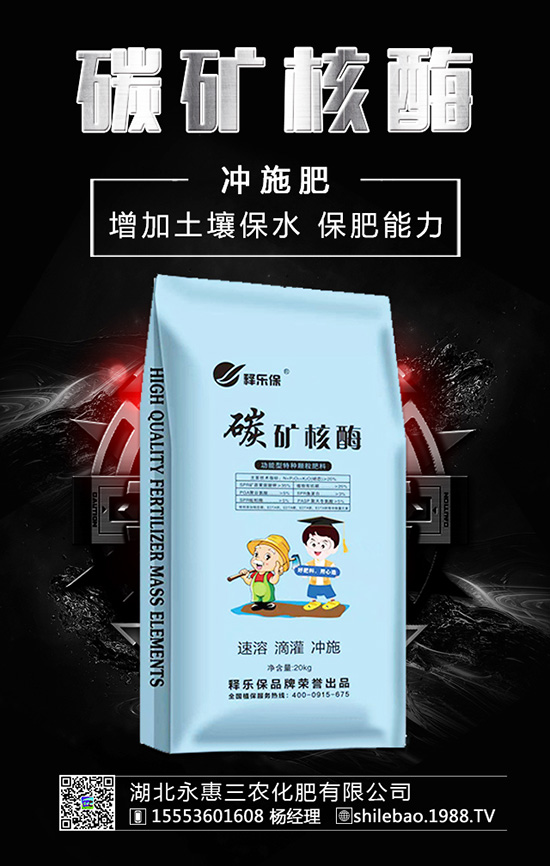 �����롰���������������ʲ����^�L������������