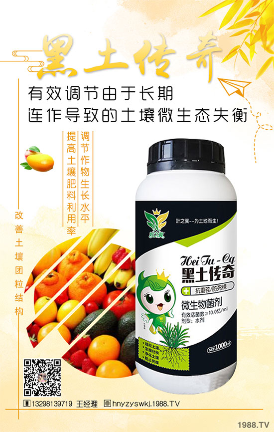 花椒樹什么季節(jié)種植?花椒樹的種植注意事項(xiàng)!