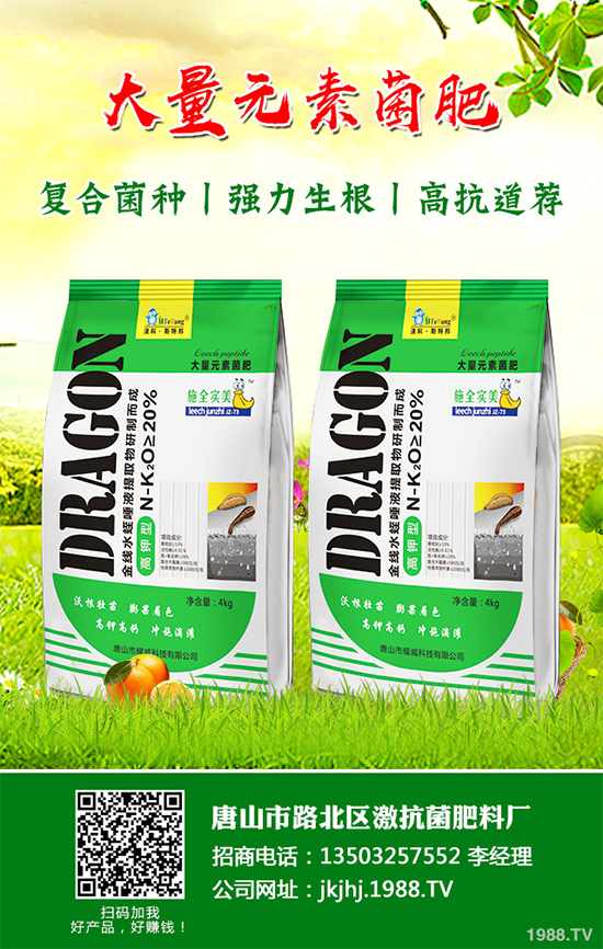 ������۲�����ЩΣ����ԓ��η����������������