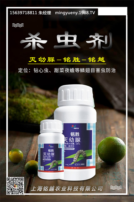 ���S����