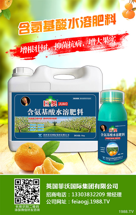 我國南方該怎樣種植藍(lán)莓?藍(lán)莓高產(chǎn)種植技術(shù)要點(diǎn)