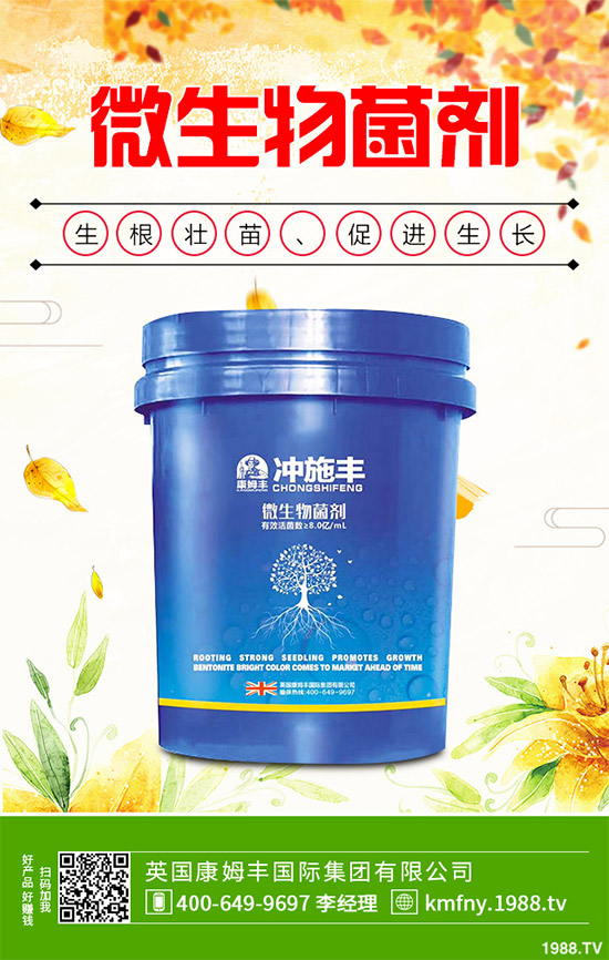 我國南方該怎樣種植藍(lán)莓?藍(lán)莓高產(chǎn)種植技術(shù)要點(diǎn)