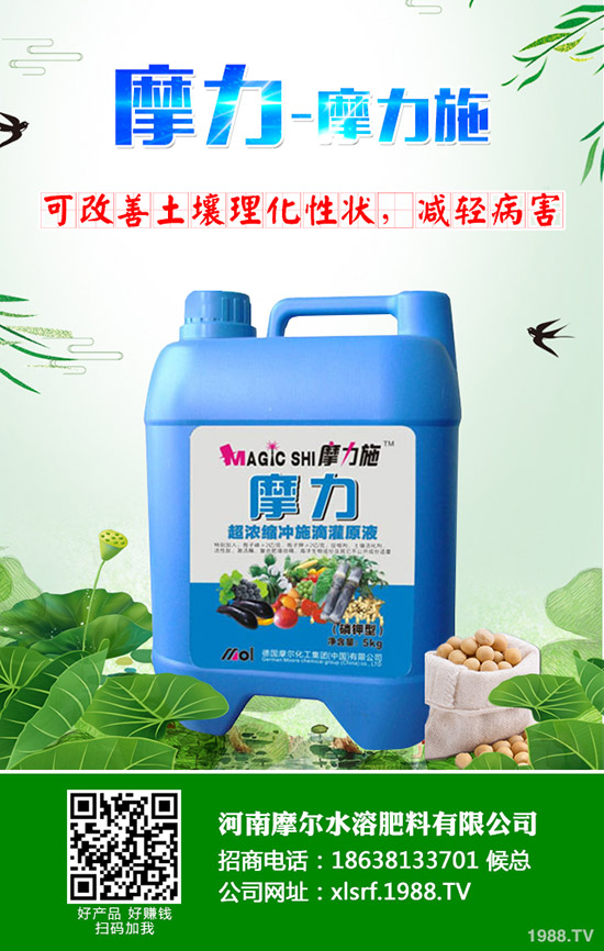 �����ʲô���Ϻ������ʩ�ʼ��g(sh��)����Щ��