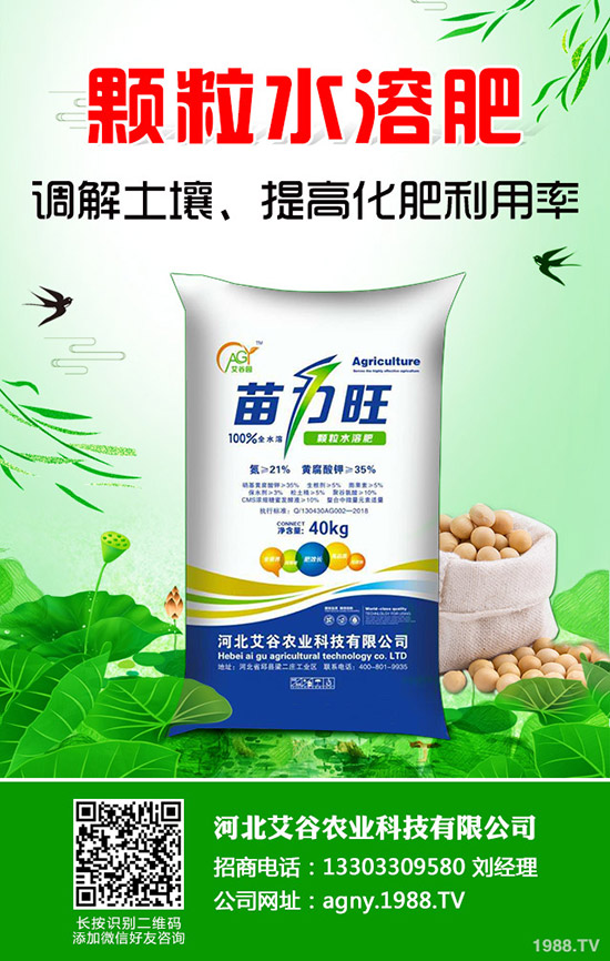 ���Ĳ�����ʩ�ʮa(ch��n)���������Ĳ�ʩ�ʼ�������Щ��